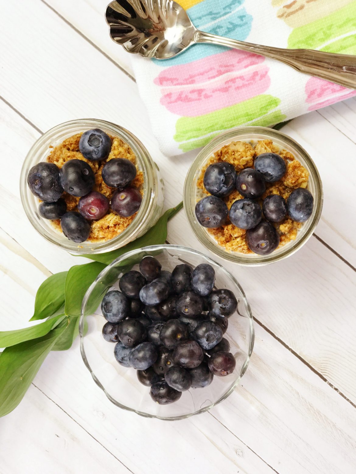 Blueberries con Chia Seed Pudding